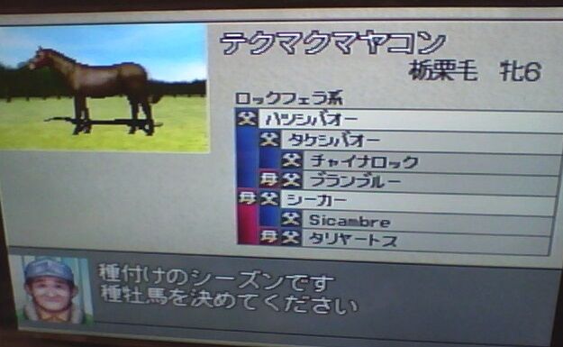 レトロゲーム ダビスタ99やってみたpart1 競馬 蒼き都 レトロゲーム ダビスタ99やってみたpart1 競馬 蒼き都