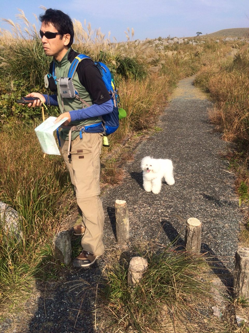 山口旅行 秋吉台トレッキングと里帰り ボロニーズのラテとカフェでラテ 山口旅行 秋吉台トレッキングと里帰り ボロニーズのラテとカフェでラテ