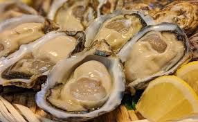 ダウンロード (47)