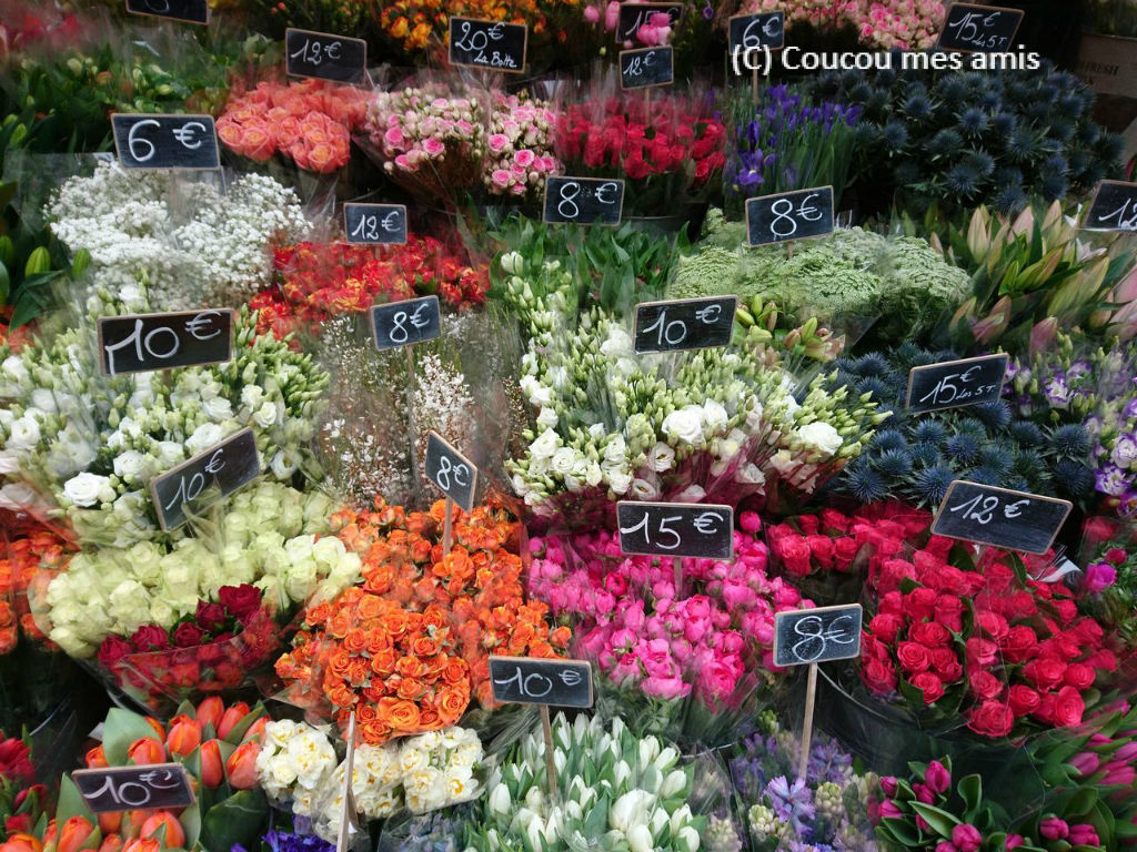 パリの花屋さん Coucou Mes Amis フランス便り
