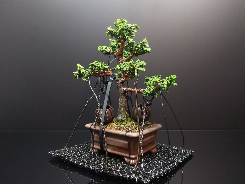 石化ひのきを掃除したりしなかったり : Bon Bonsai
