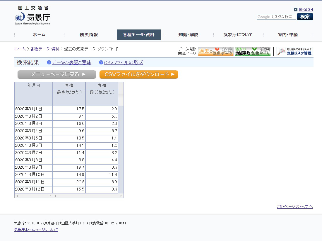 桂の木 植え替え間に合わず Bon Bonsai
