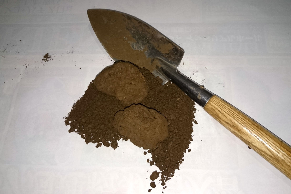 沈む荒木田土 Bon Bonsai