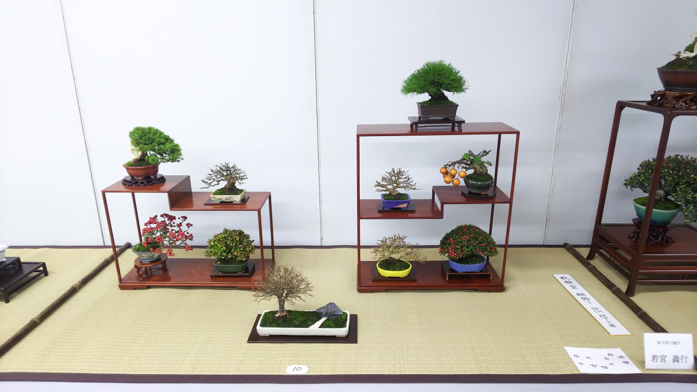 盆栽ひな壇 鑑賞棚 BONSAI 盆栽 ひな壇 鑑賞棚 BONSAI