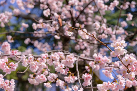 DSC00188