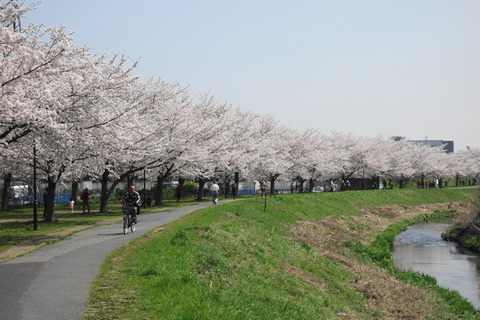 DSC03074