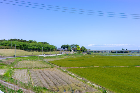 DSC03613