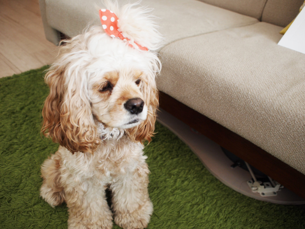 ハッピーバースデ ｏ だいもん部長ブログ