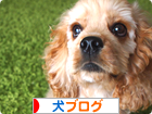 犬ブログへ