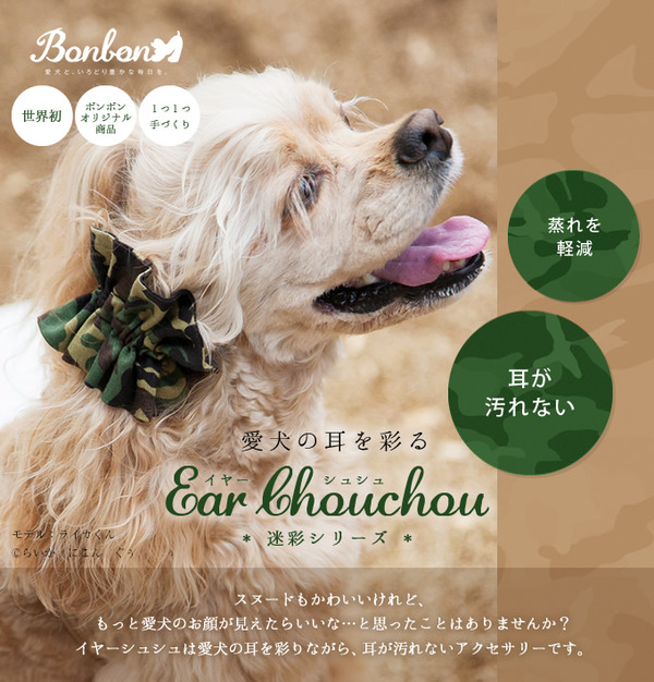 detail_ear_m_title