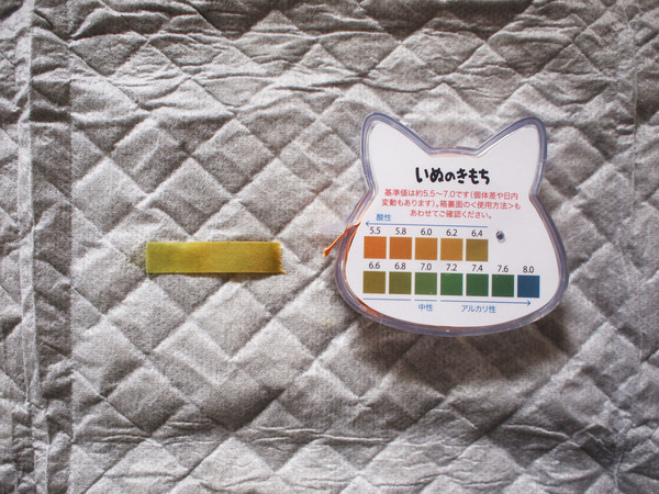 P1011859