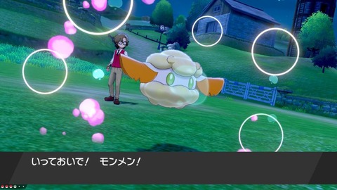 W 色違いモンメンが産まれました ポケモン剣盾 セミリタイアしたい ヤラワ の足跡
