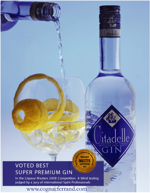 シタデルジンの快挙 Bonili Japan Co Ltd