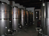 foto cantina7