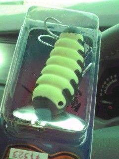 ナマズのはじまり たうりんのﾌﾞﾛｸﾞ