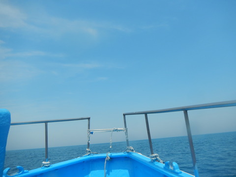 DSCN4920
