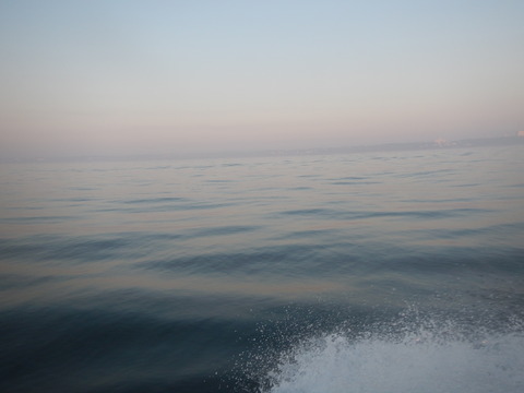 DSCN4900