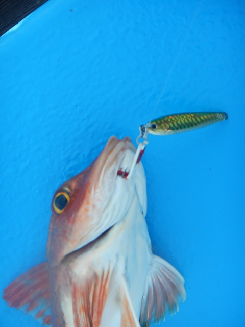 DSCN4904