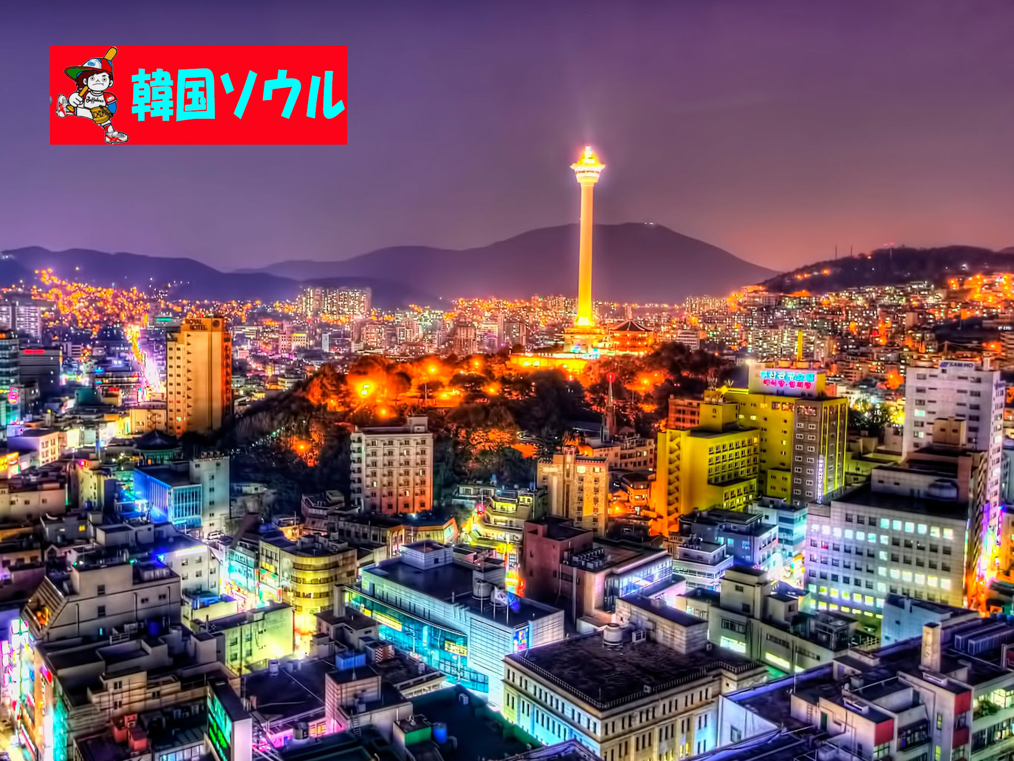 夜景 女子画像
