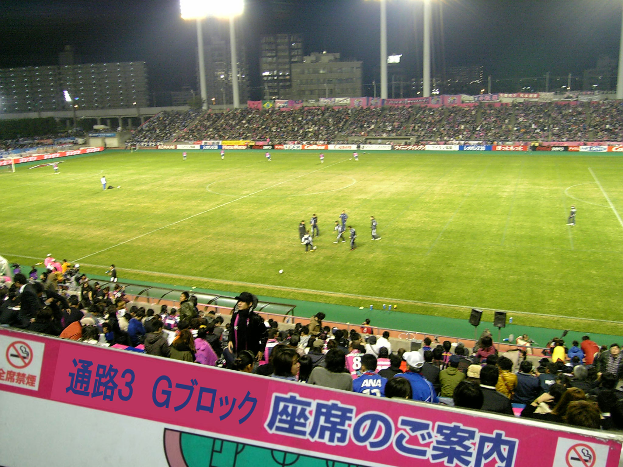 キンチョウスタジアム 女子画像