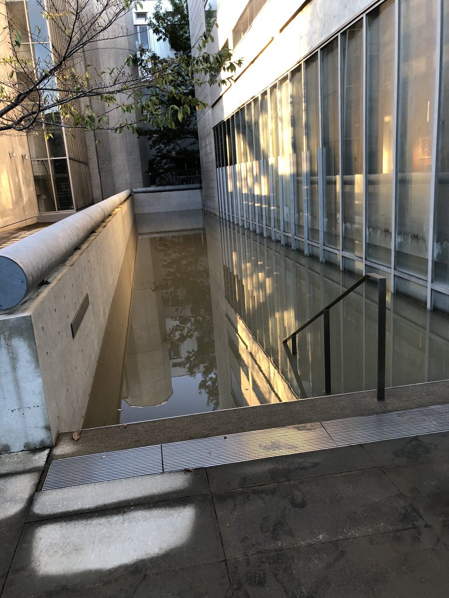 台風１９号 東京都市大学の図書館地下が水没 蔵書全滅か ２ ボニー速報