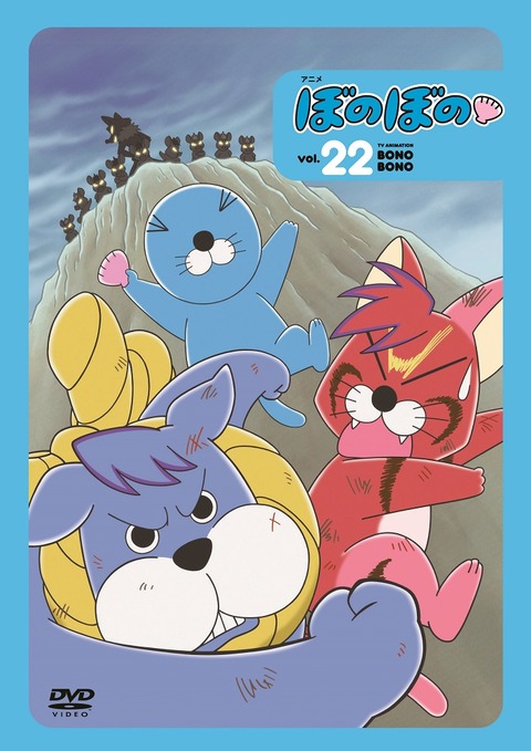 DVD_22+