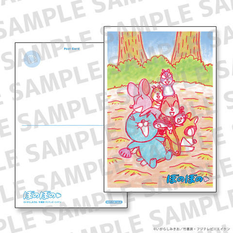 ぼのぼのDVD第37巻発売決定！！