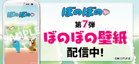 第7弾ブログ用