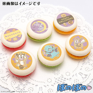 ob_hw2024_t_main7010