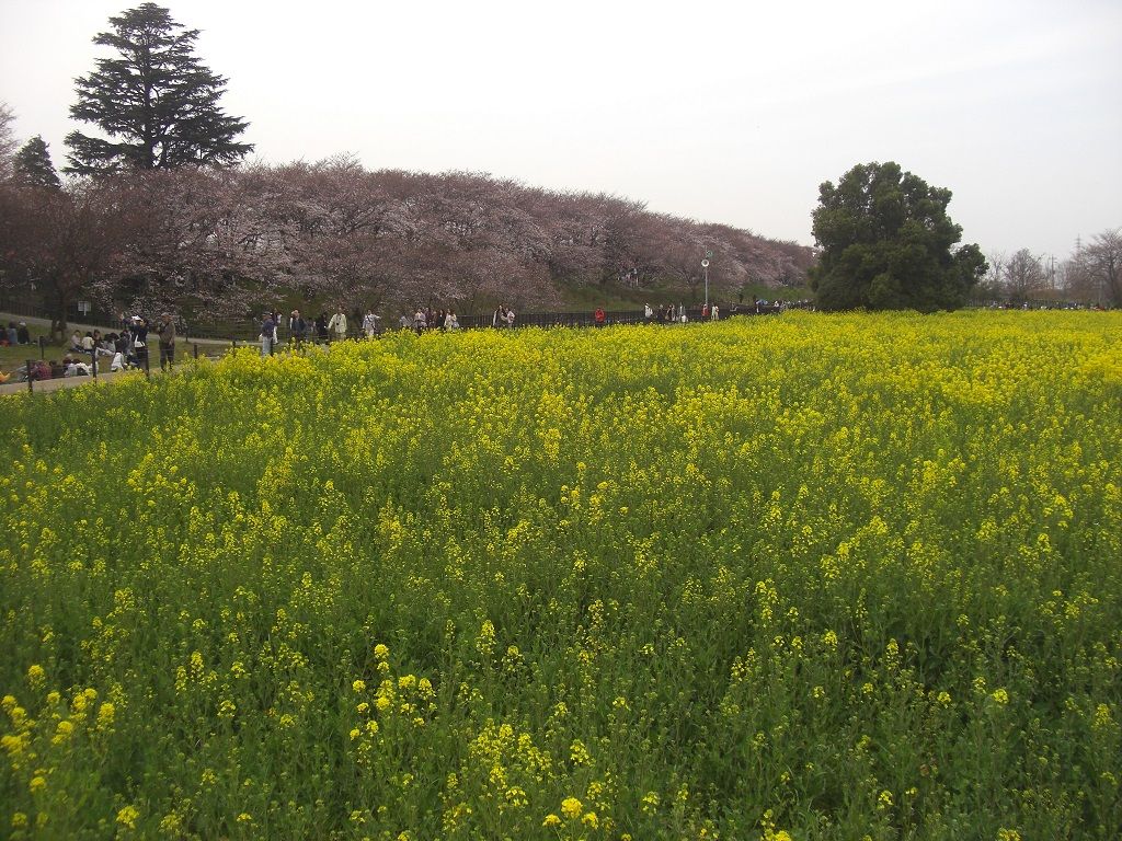 イメージ 15