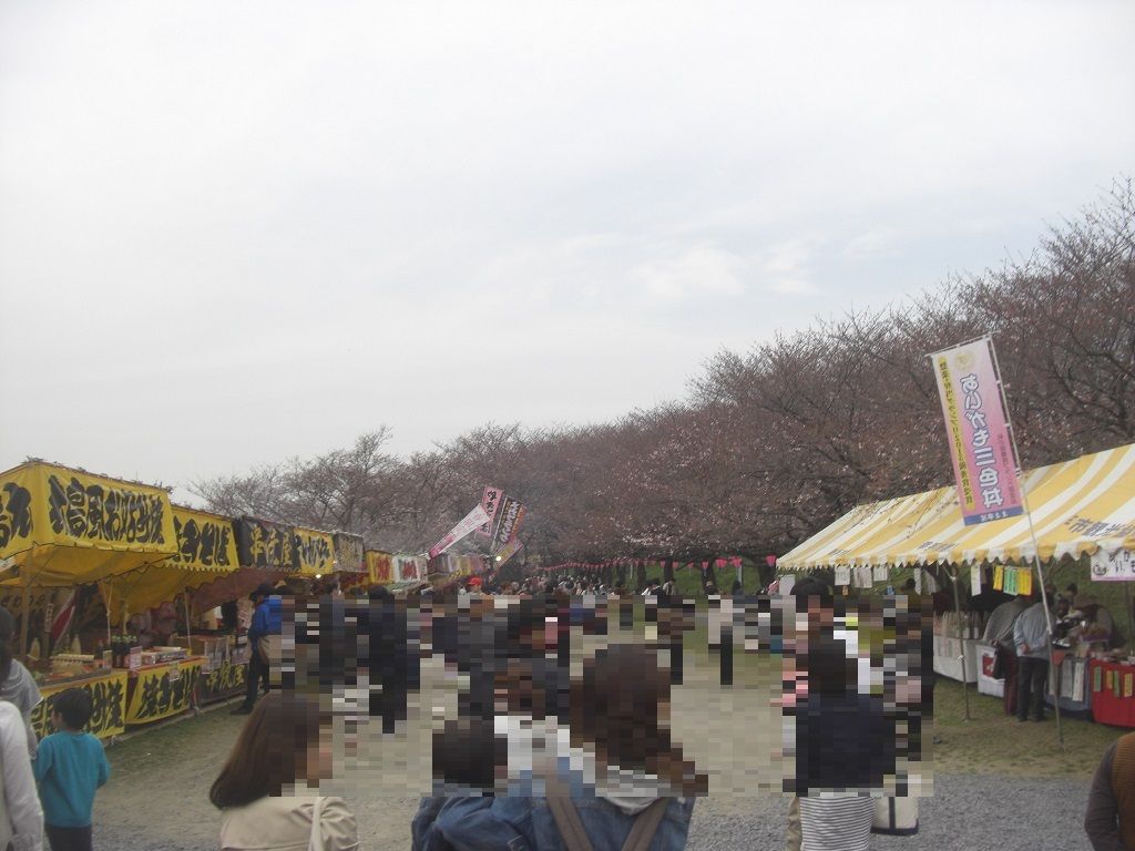 イメージ 11