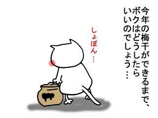 残りわずか！ (3)