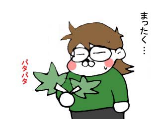 天狗のウチワ (10)