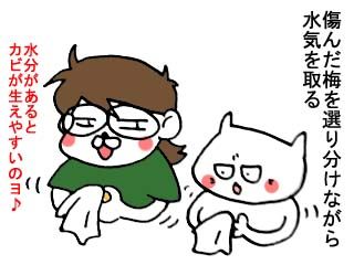 梅仕事（前半） (2)