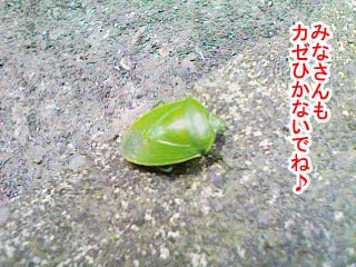 3a882404.jpg