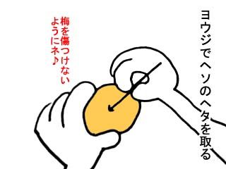 梅仕事（前半） (1)