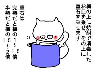 梅仕事（前半） (5)