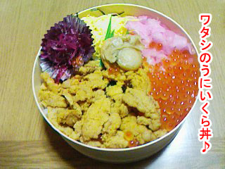 70d3f5b1.jpg