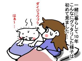 311の不思議な出来事 (4)