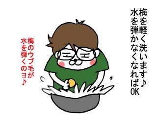 梅仕事（前半）