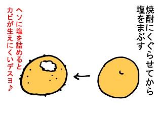 梅仕事（前半） (3)