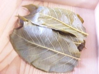 PA0_0111