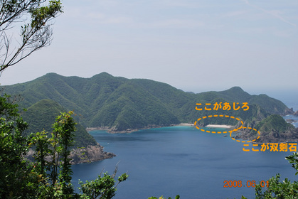 綱代