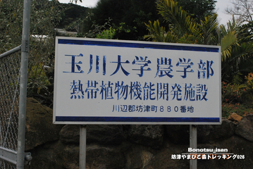 bonotsu0000486_006