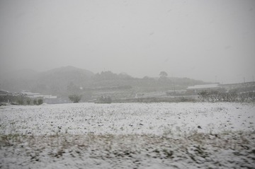 _IGP0819