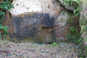 IMGP0950