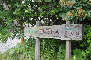 IMGP7696