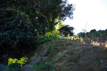 IMGP0943