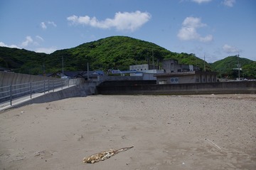 IMGP3740