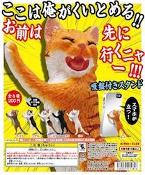 Cat_standDP